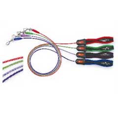 Tie out Leash Colored